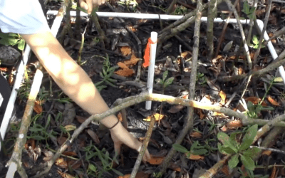 Critical Coastal Habitat Assessment Training Video
