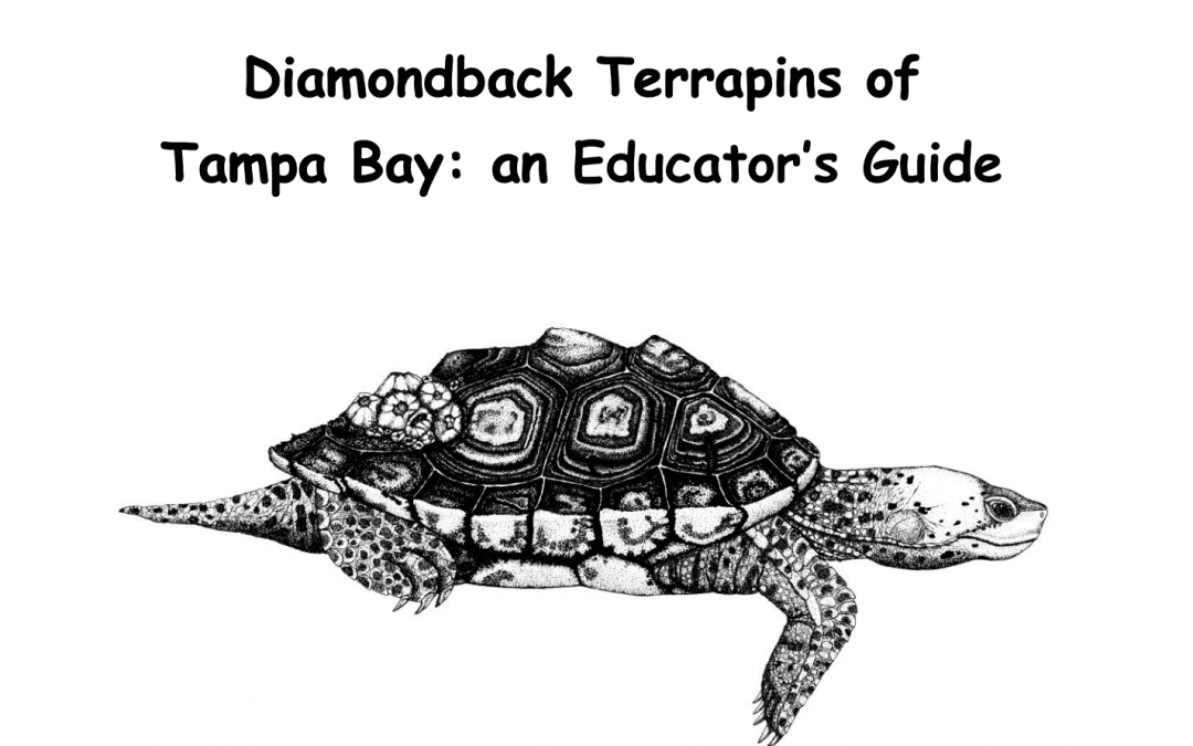 Diamondback Terrapins Educator’s Guide