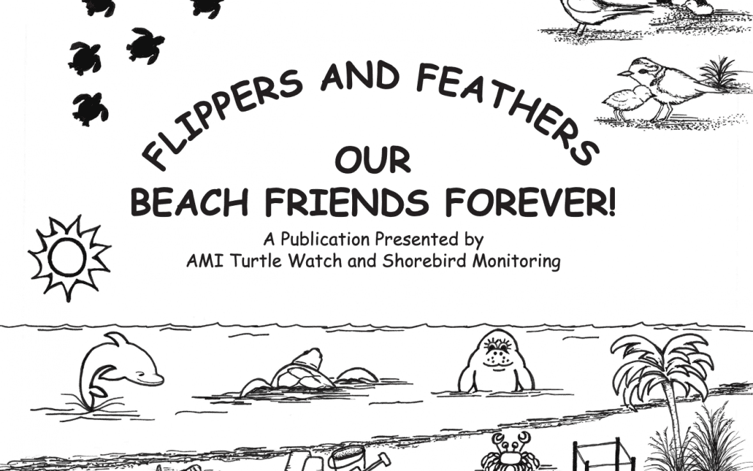 Flippers and Feathers: Our Beach Friends Forever!