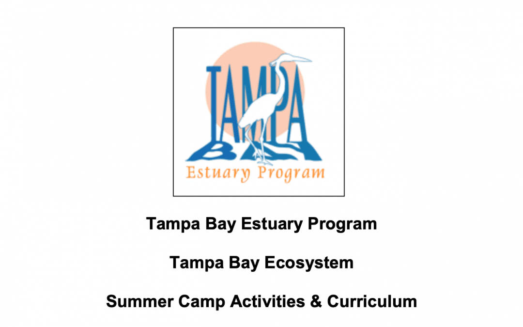 Summer Camp Activities & Curriculum