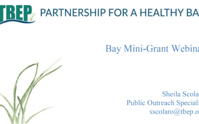 Bay Mini-Grant Instructional Webinar