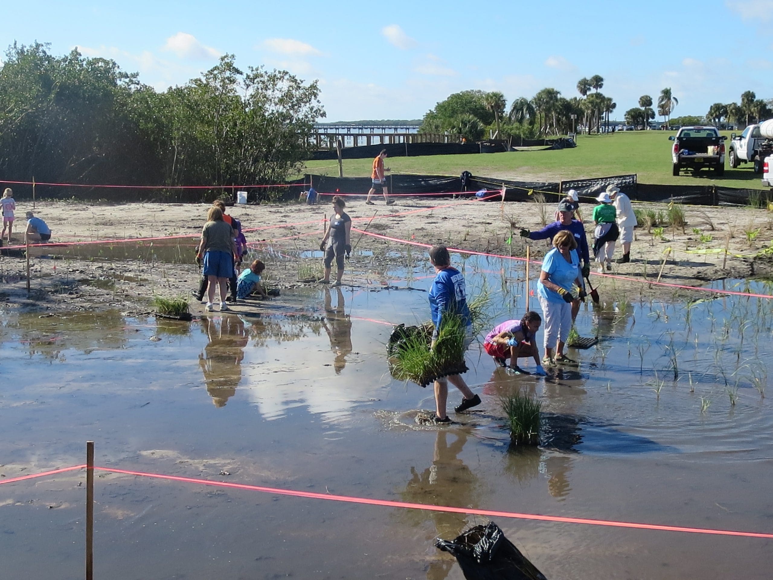 Volunteers plant native vegetation in an effort to restore habitat at Safety Harbor in 2018.