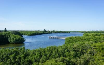 Sea Level Rise in Tampa Bay