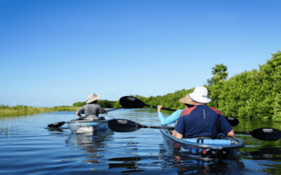 Explore Tampa Bay