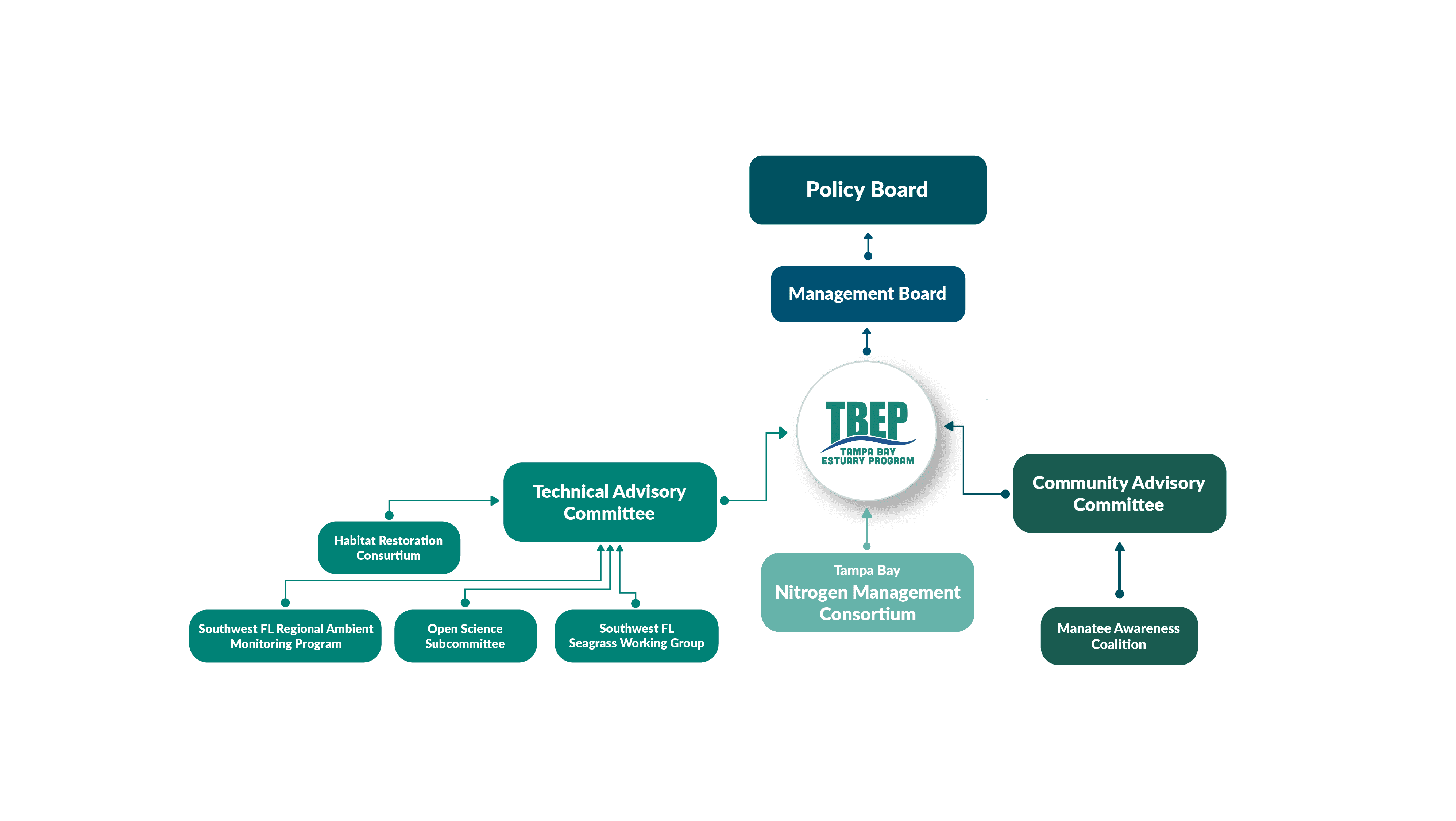 TBEP_Boards_Committees_SoB_22 A diagram showcasing TBEP's Management Conference