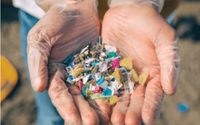 Microplastics In The Estuary: Interactive Lesson Plan